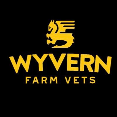Wyvern Logo