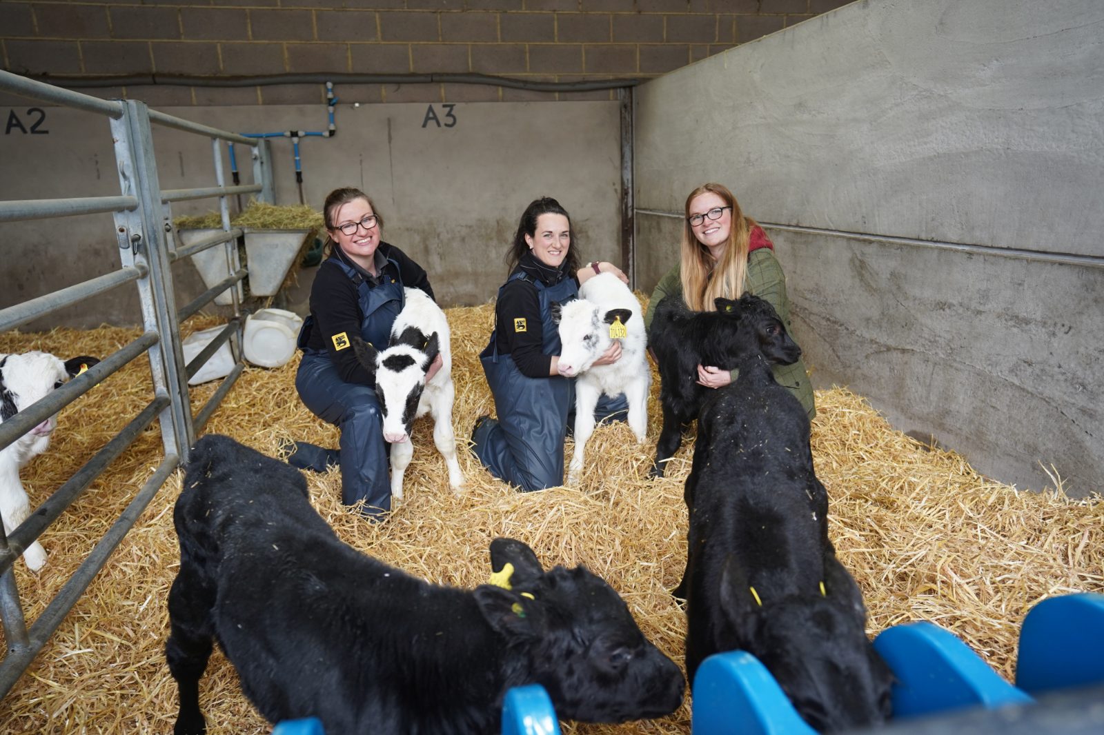 Calf Health Breakfast